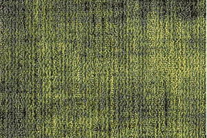 Ковровая плитка Milliken Change Agent - Europe com 53-62-103 Essential Neon фото  | FLOORDEALER